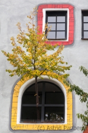 Luther-Melanchton-Gymnasium