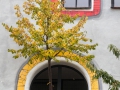 Luther-Melanchton-Gymnasium