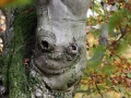 Hutewald Halloh