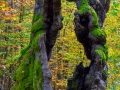 Hutewald Halloh