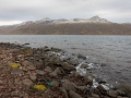 Djupavik