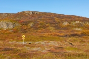 Weg von Heydalur nach Isafjördur