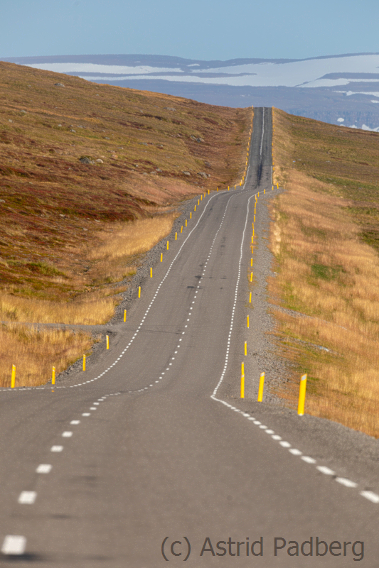 Weg von Heydalur nach Isafjördur