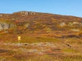 Weg von Heydalur nach Isafjördur