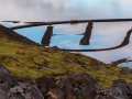 Raudsdalur