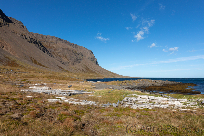 Weg von Raudsdalur nach Djupavik