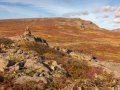 Weg von Raudsdalur nach Djupavik
