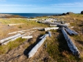 Weg von Raudsdalur nach Djupavik