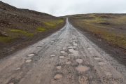 Weg von Thingeyri nach Raudsdalur