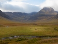 Weg von Thingeyri nach Raudsdalur