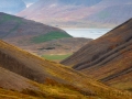 Weg von Thingeyri nach Raudsdalur