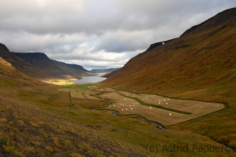 Weg von Isafördur nach Thingeyri