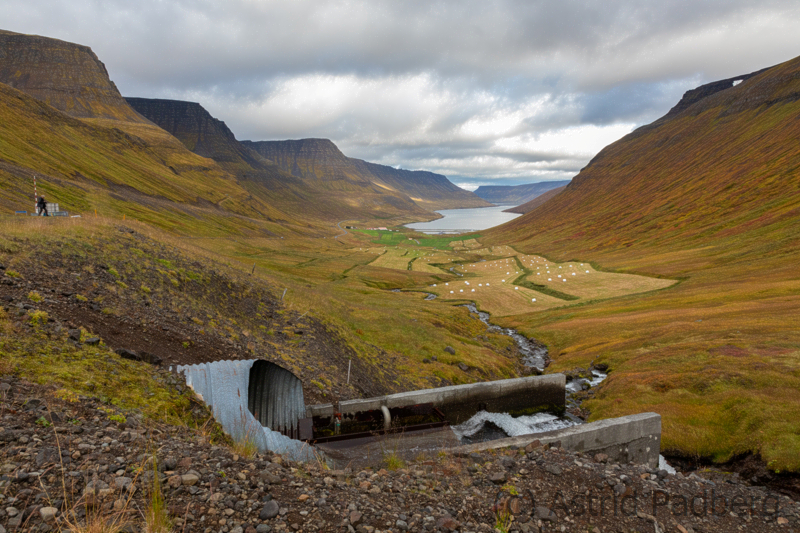 Weg von Isafördur nach Thingeyri