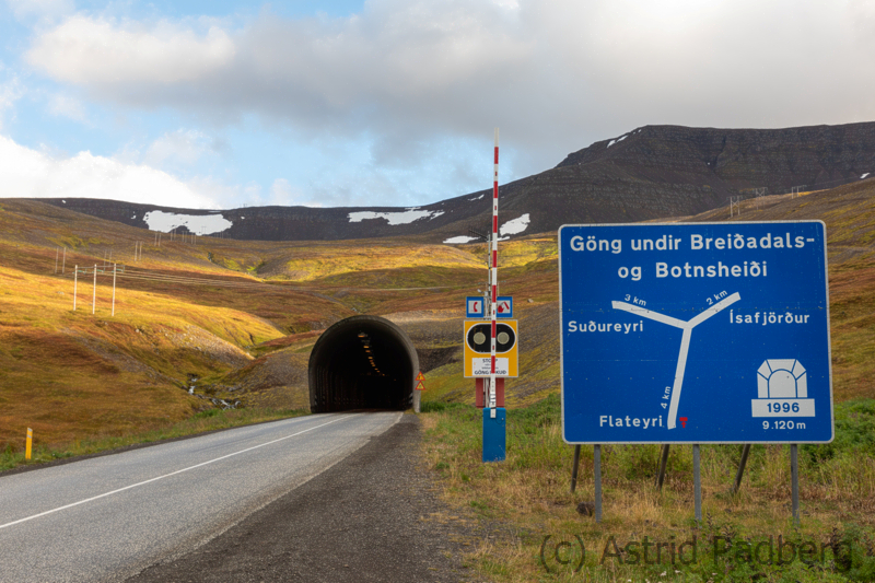 Weg von Isafördur nach Thingeyri