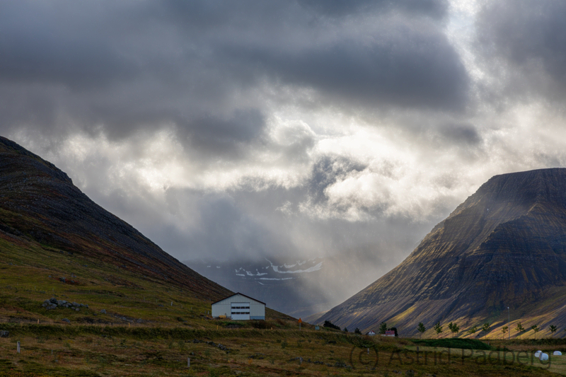 Weg von Isafördur nach Thingeyri