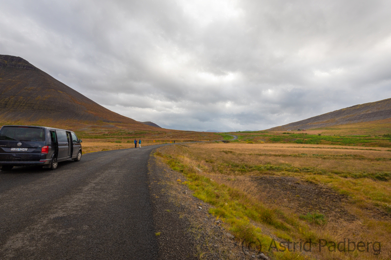 Weg von Isafördur nach Thingeyri