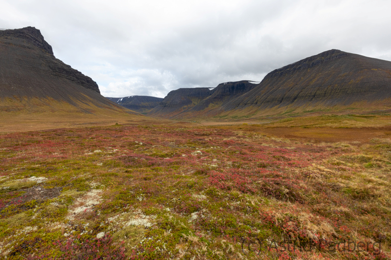 Weg von Isafördur nach Thingeyri