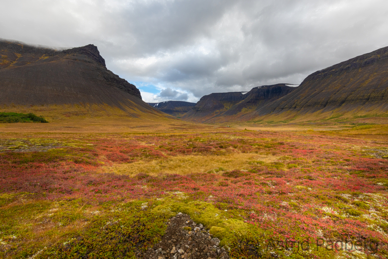 Weg von Isafördur nach Thingeyri