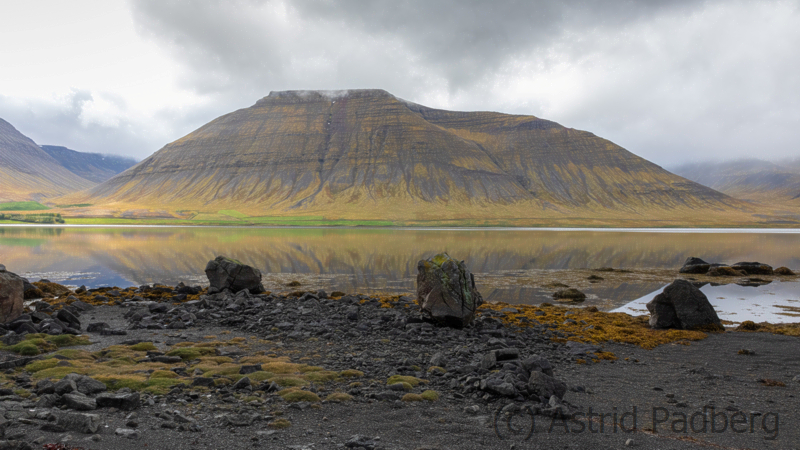 Weg von Isafördur nach Thingeyri