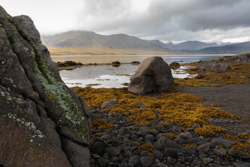 Weg von Isafördur nach Thingeyri