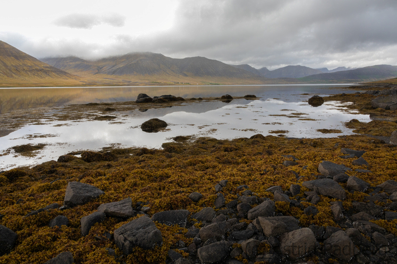Weg von Isafördur nach Thingeyri