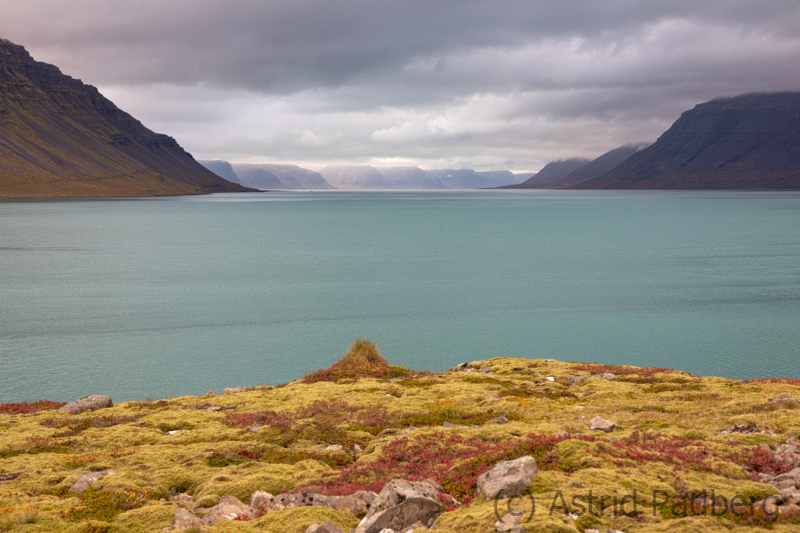 Weg von Isafördur nach Thingeyri