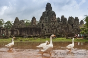 Bayon Tempel