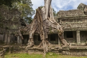 Preah Khan