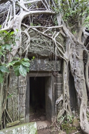 Ta Phrom