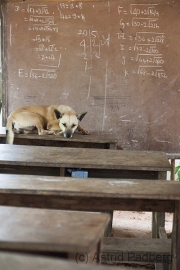 Mathe ist sooo ermüdend