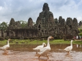 Bayon Tempel