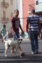 Karneval Mindelo 2014