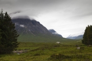 Kings House nach Kinlochleven