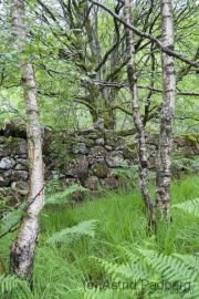 Kinlochleven nach Blackwater Reservoir