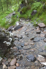 Kinlochleven nach Blackwater Reservoir