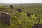 Friedhof der Arbeiter