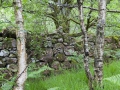 Kinlochleven nach Blackwater Reservoir