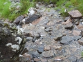 Kinlochleven nach Blackwater Reservoir