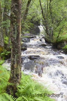 Kinlochleven nach Blackwater Reservoir