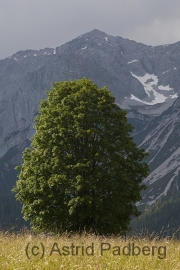 Höhenweg zur Silberkarklamm