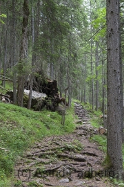 Höhenweg zur Silberkarklamm