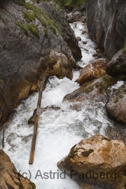 Silberkarklamm