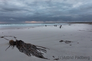 Volunteer Beach