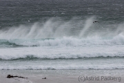 Brandung, Volunteer Beach