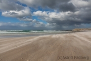 Volunteer Beach