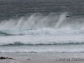 Brandung, Volunteer Beach