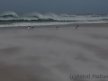 Sandsturm am Volunteer Beach