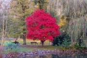 Kurpark Bad Wildungen