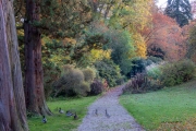 Kurpark Bad Wildungen