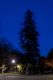Kurpark Bad Wildungen